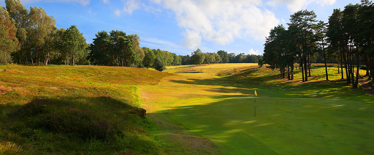 The Royal Ashdown Forest Golf Club