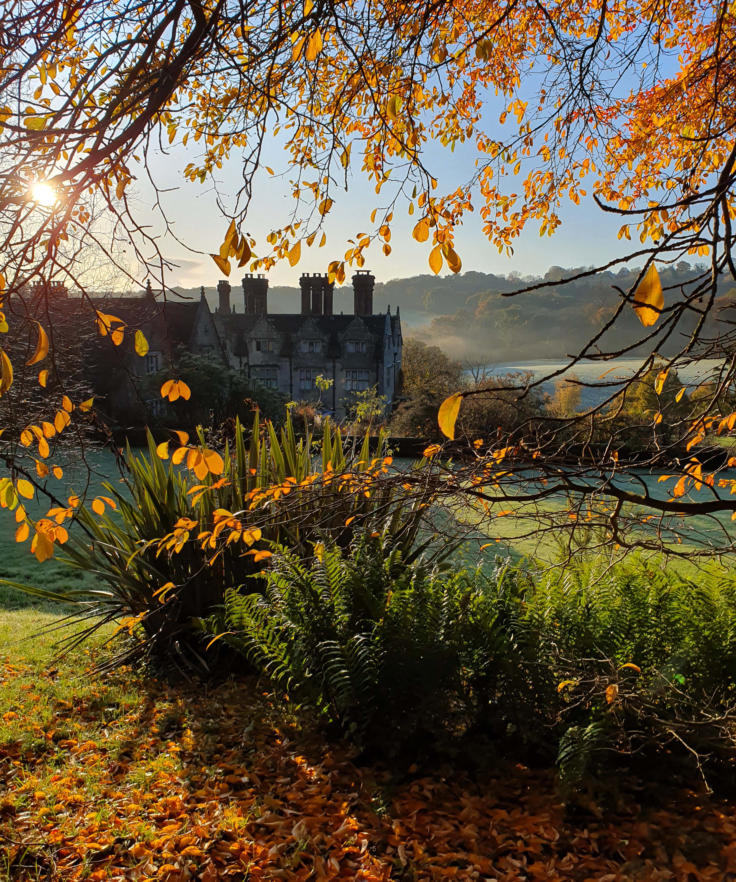 Alice Johnson 2019 entry - Copy