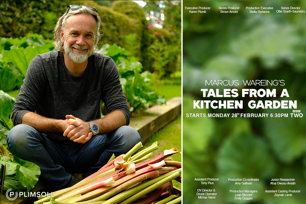 tales from a kitchen garden