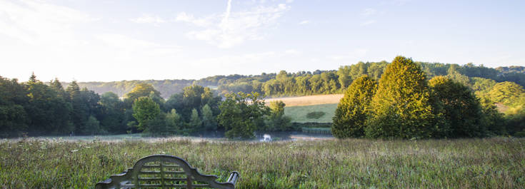 Meadow