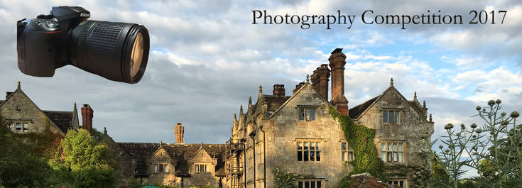 Photo Comp